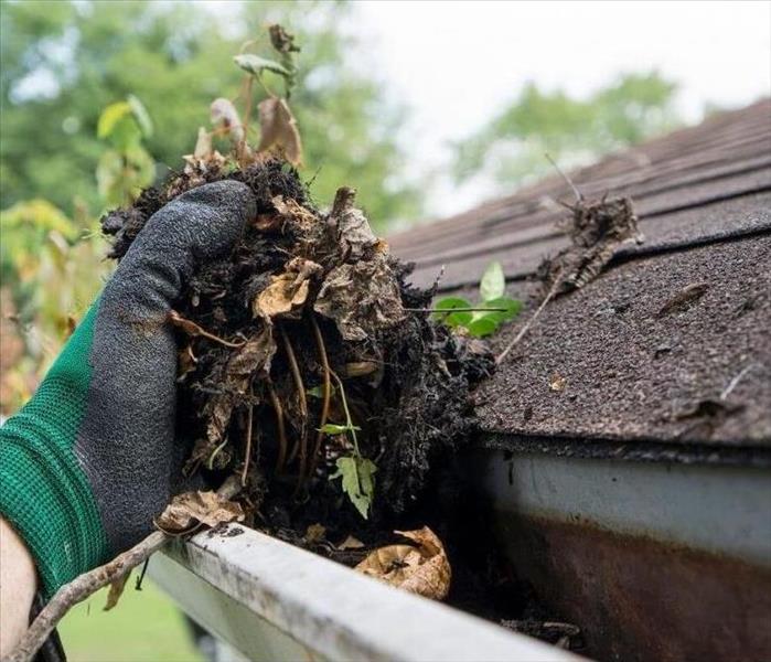 Cleaning leaves out of gutters.