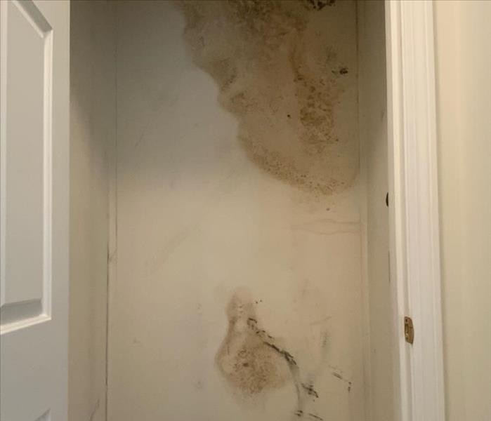 Mold on the walls inside a closet.